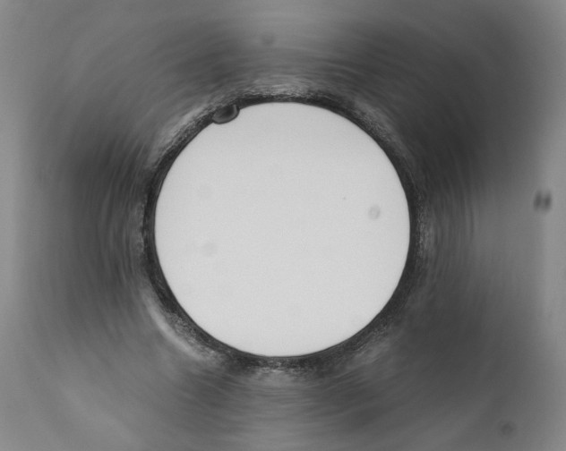 X0000110730538200907101431