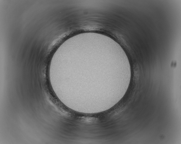 X0000110730539200907101431