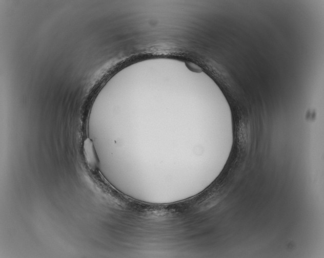 X0000110730540200907101431