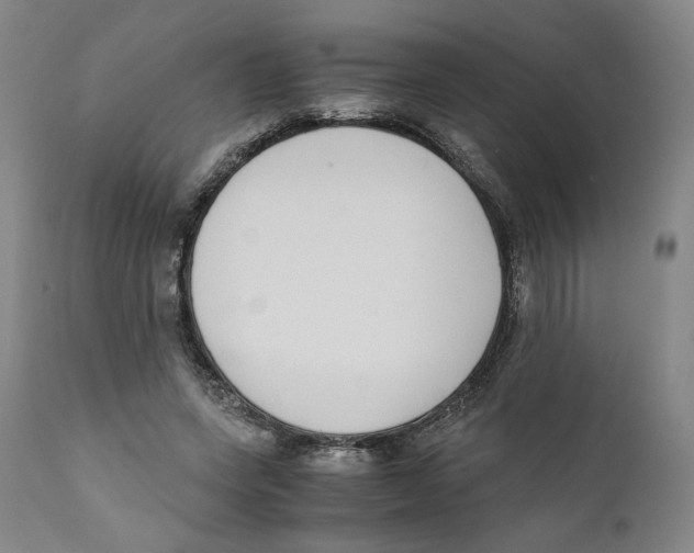 X0000110730543200907101431