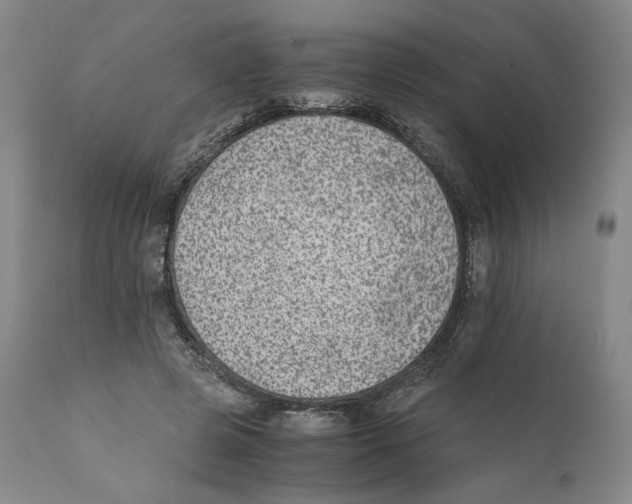 X0000110730545200907101431