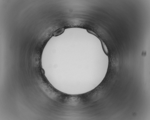 X0000110730546200907101431
