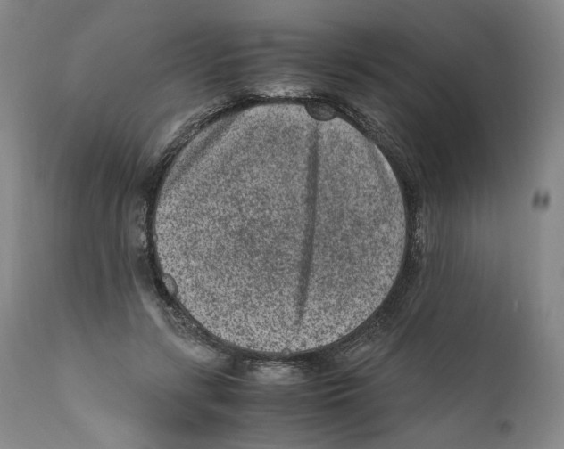X0000110730547200907101431
