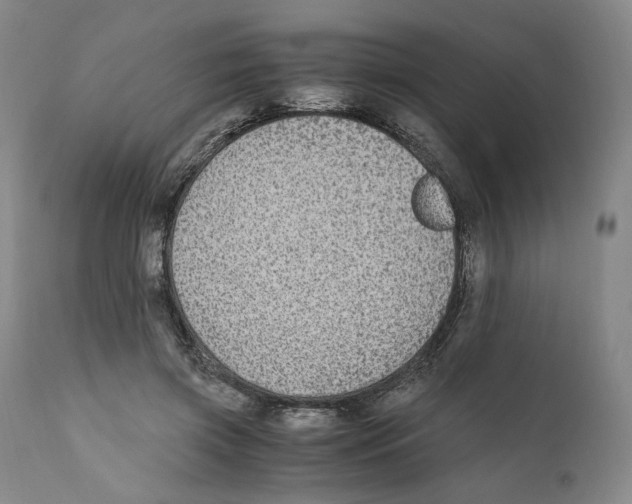X0000110730549200907101431