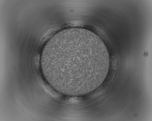 X0000110730550200907101431