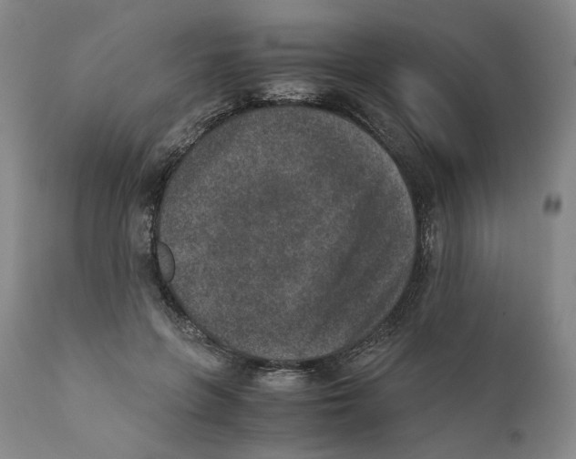 X0000110730551200907101431