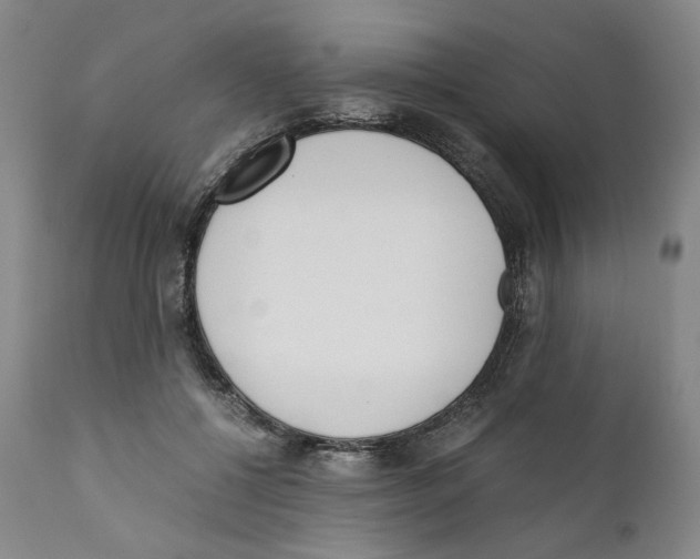 X0000110730552200907101431