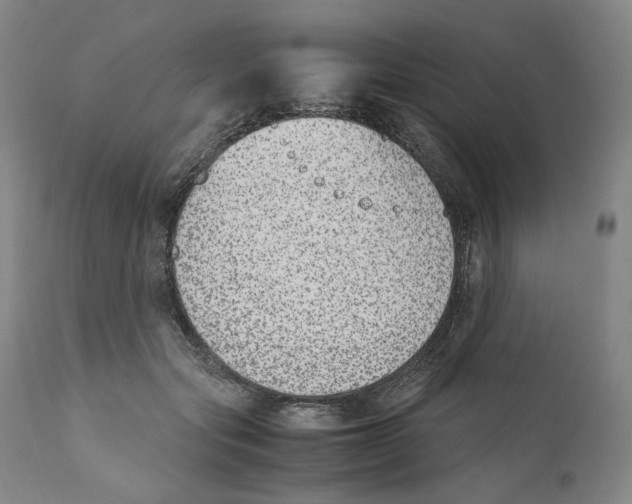 X0000110730557200907101431