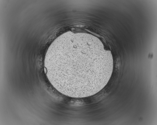 X0000110730559200907101431