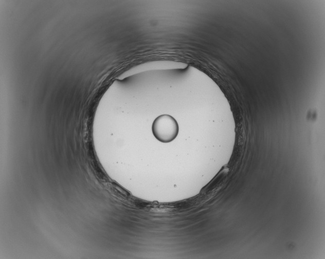 X0000110730560200907101431