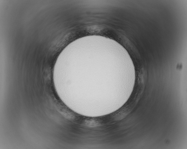 X0000110730561200907101431
