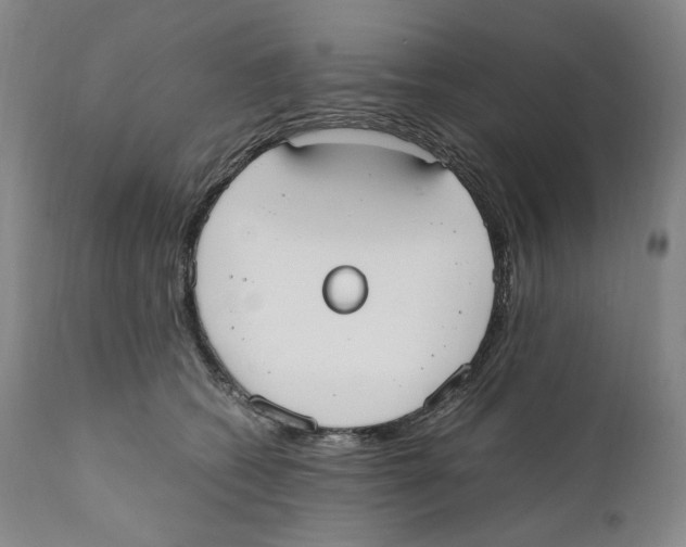 X0000110730562200907101431