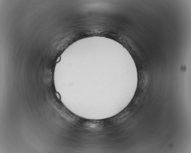 X0000110730563200907101431