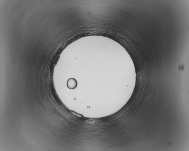 X0000110730564200907101431