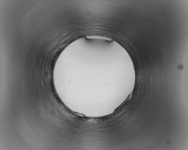 X0000110730566200907101431