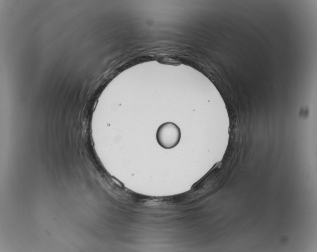 X0000110730568200907101431