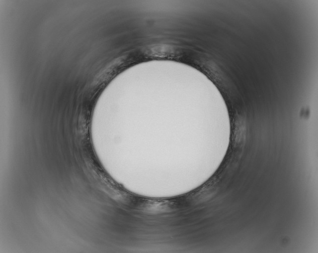 X0000110730569200907101431