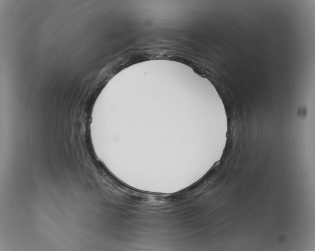 X0000110730570200907101431