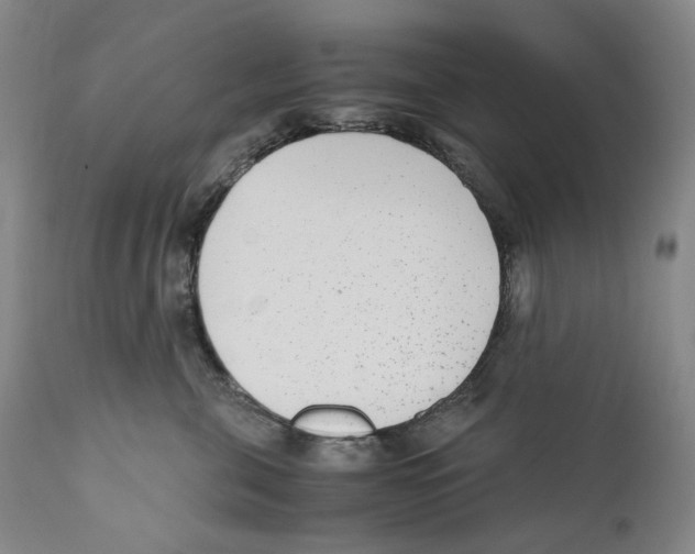 X0000110730571200907101431