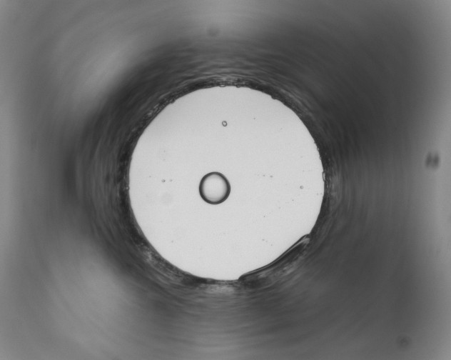 X0000110730572200907101432