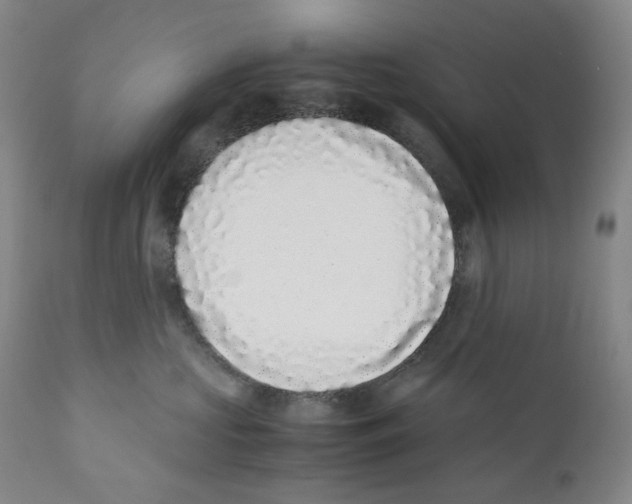 X0000110730573200907101432