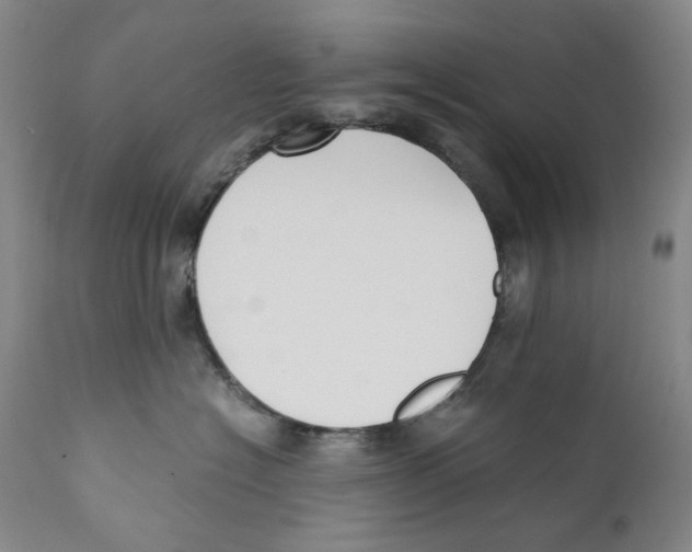 X0000110730574200907101432