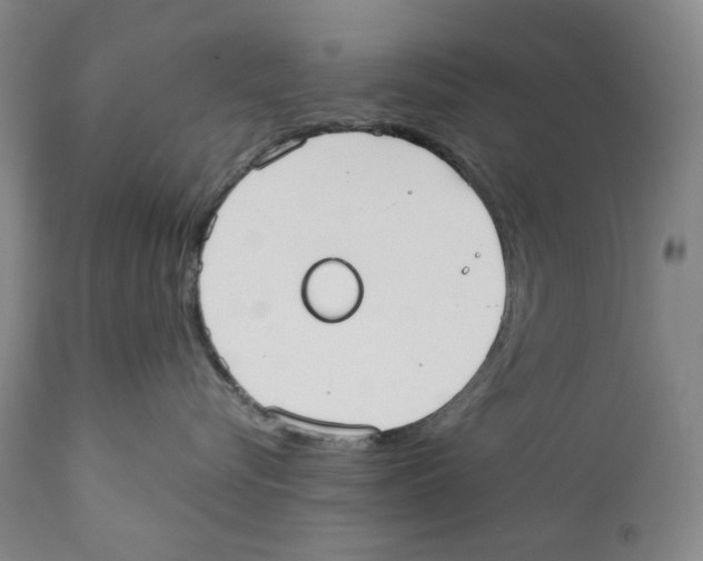 X0000110730576200907101432