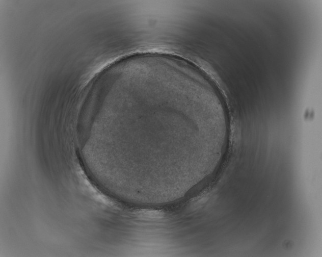 X0000110730577200907101431