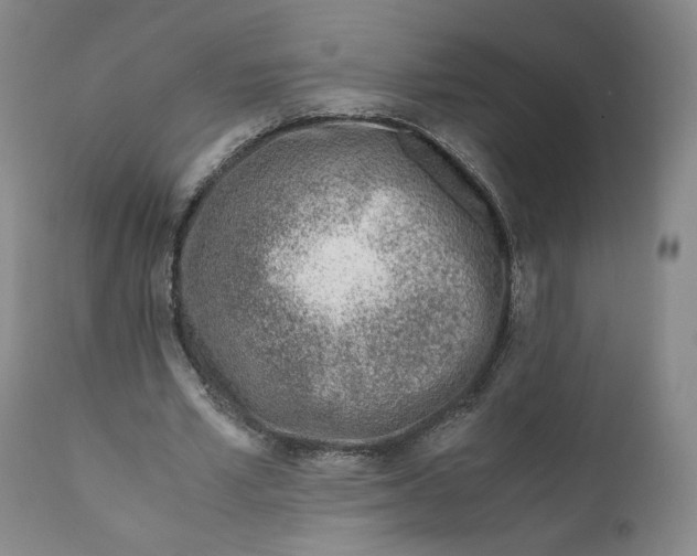 X0000110730581200907101431