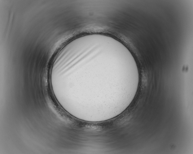 X0000110730582200907101431