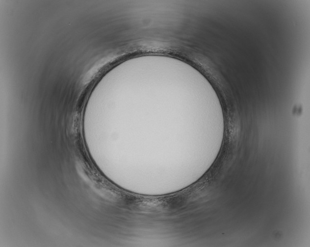 X0000110730583200907101431