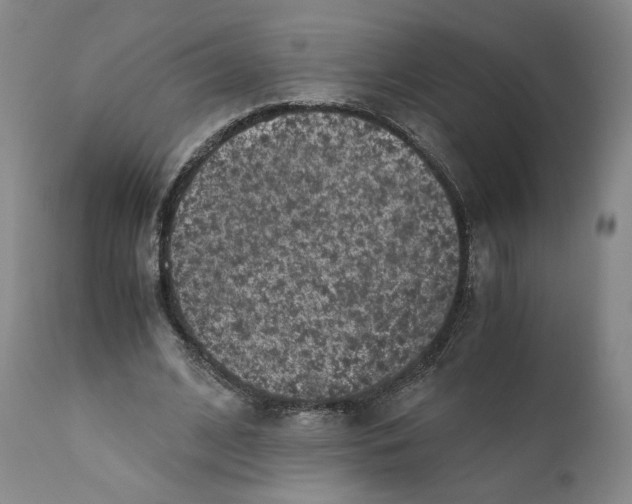 X0000110730584200907101431