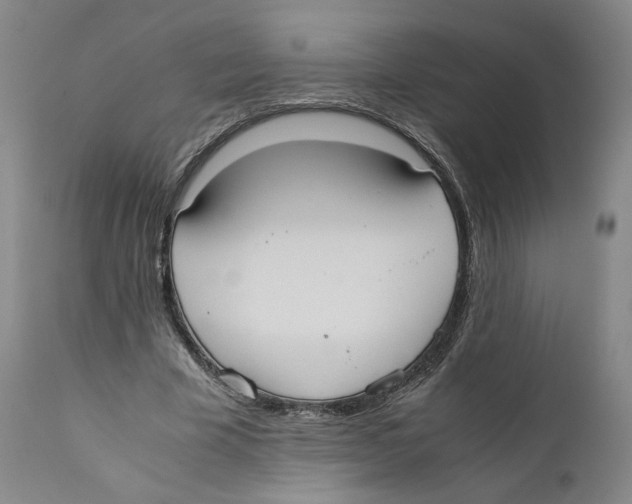 X0000110730585200907101431