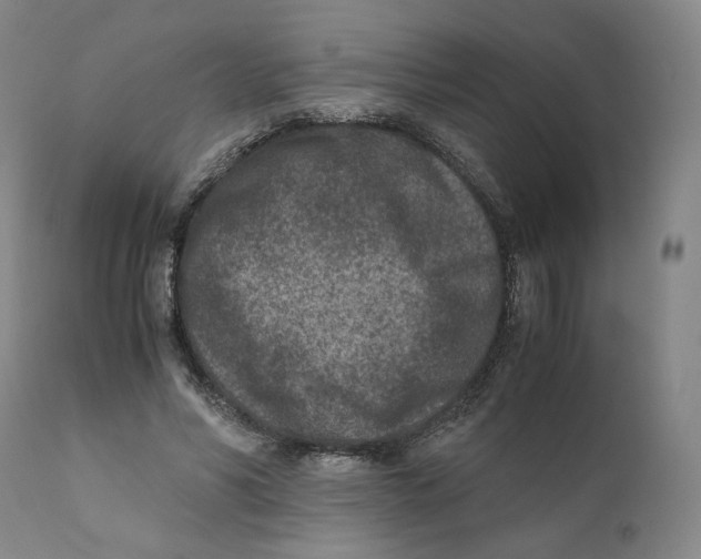 X0000110730590200907101431