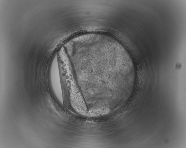 X0000110730592200907101431