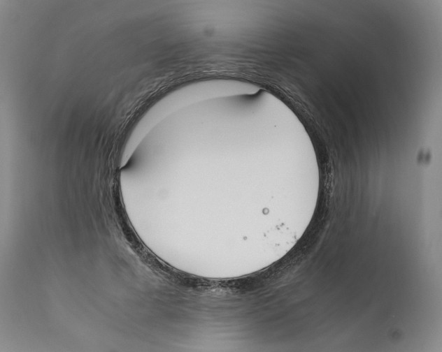 X0000110730593200907101431