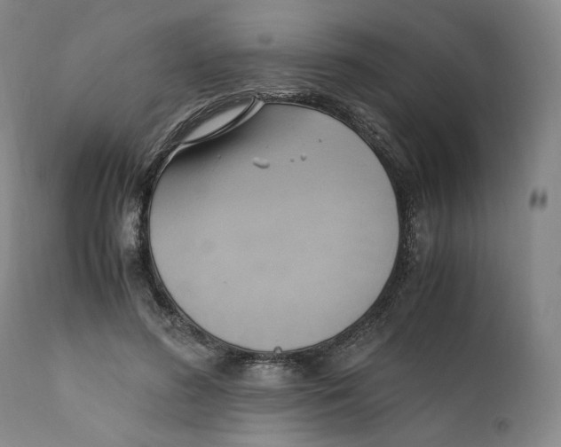 X0000110730596200907101431