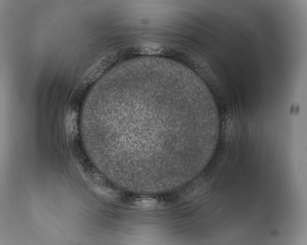 X0000110730598200907101431