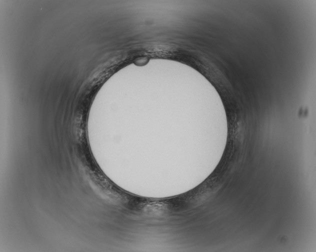 X0000110730599200907101431