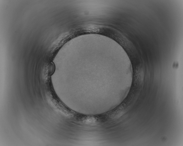 X0000110730600200907101431