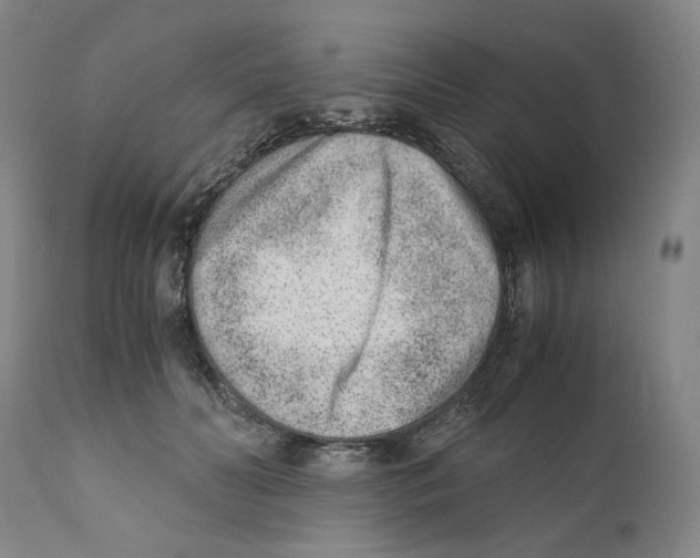 X0000110730606200907101431