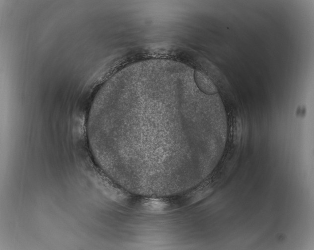 X0000110730610200907101430
