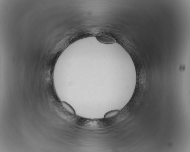 X0000110730611200907101430