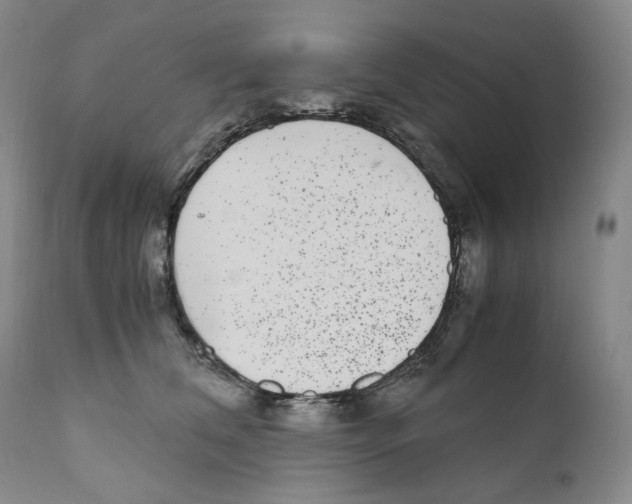 X0000110730612200907101430