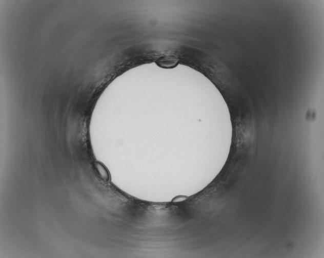 X0000110730613200907101430