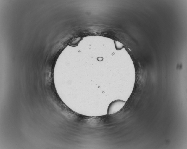 X0000110730615200907101430