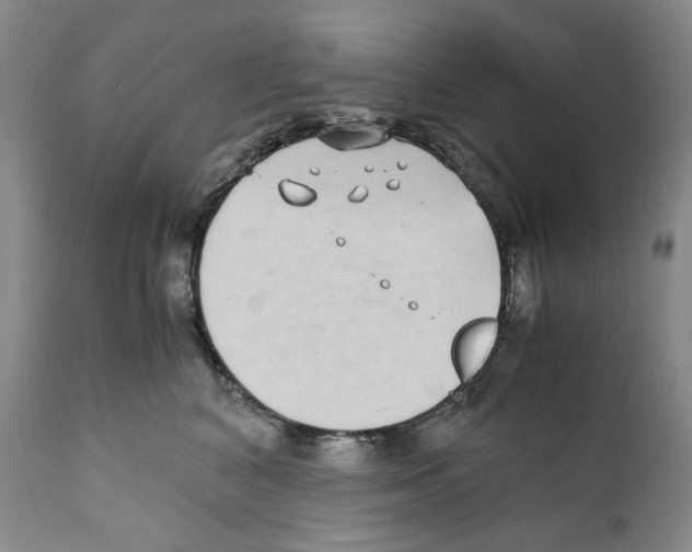 X0000110730616200907101430