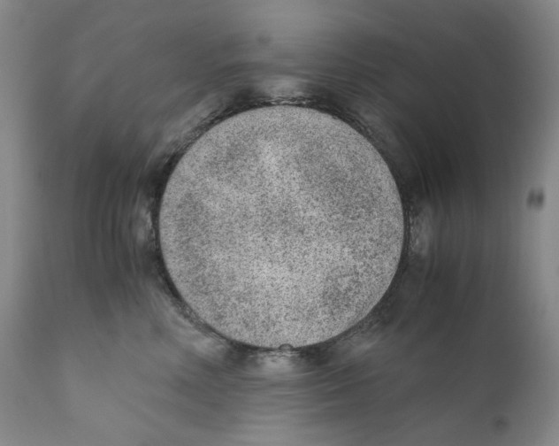 X0000110730618200907101430