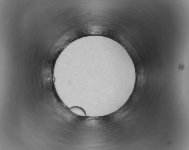 X0000110730620200907101430