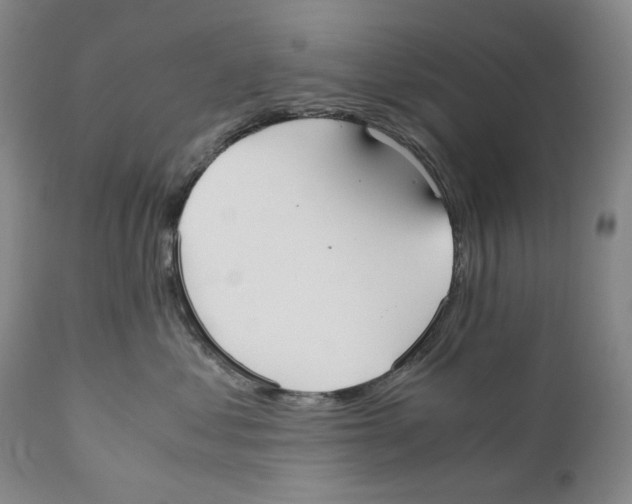 X0000110730621200907101430
